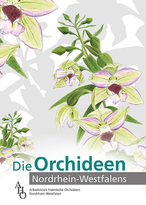 Die Orchideen Nordrhein-Westfalens